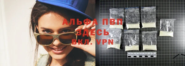 гидра Кодинск