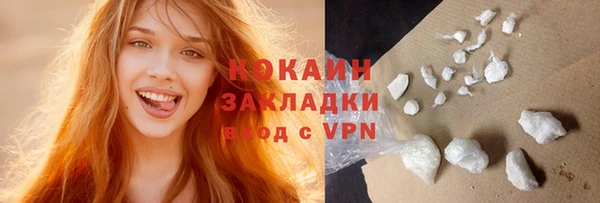 гидра Кодинск