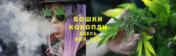 гидра Кодинск