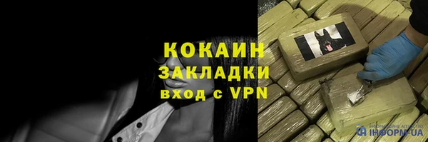 гидра Кодинск