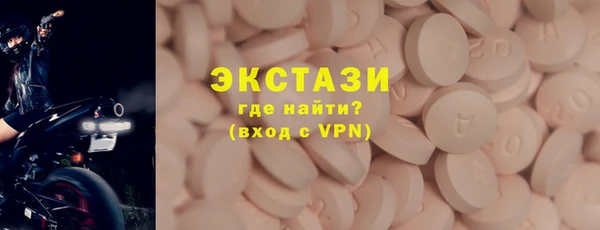 гидра Кодинск