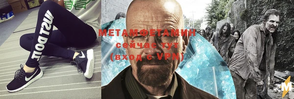 гидра Кодинск