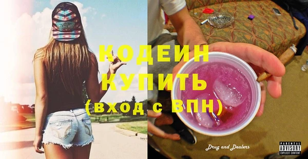гидра Кодинск