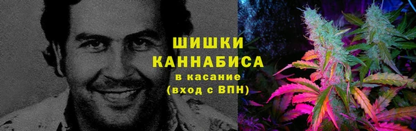 гидра Кодинск