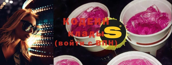 гидра Кодинск