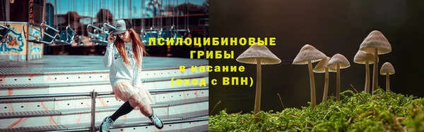 гидра Кодинск